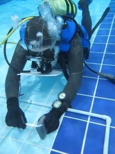 laboratorio-subacquea-scientifica-2015-piscina-IMG25